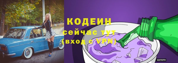 МДПВ Богородицк