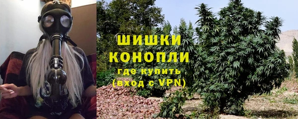 тгк Богородск