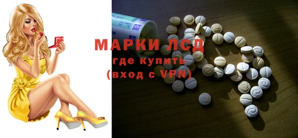 гидра Богданович