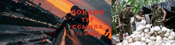 МДПВ Богородицк