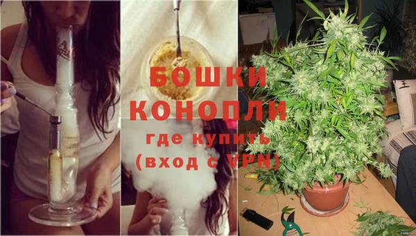 тгк Богородск