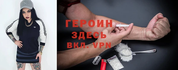 гидра Богданович