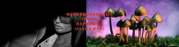 гидра Богданович