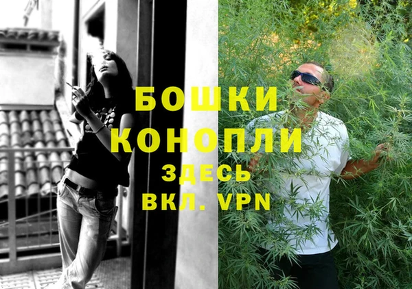 гидра Богданович