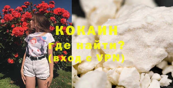 гидра Богданович