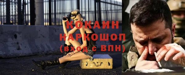 гидра Богданович