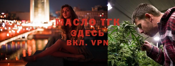гидра Богданович