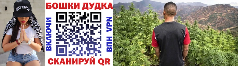 Шишки марихуана тримм  магазин продажи наркотиков  Нижнекамск 